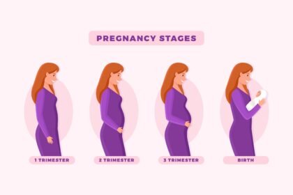 Your Pregnancy Week by Week